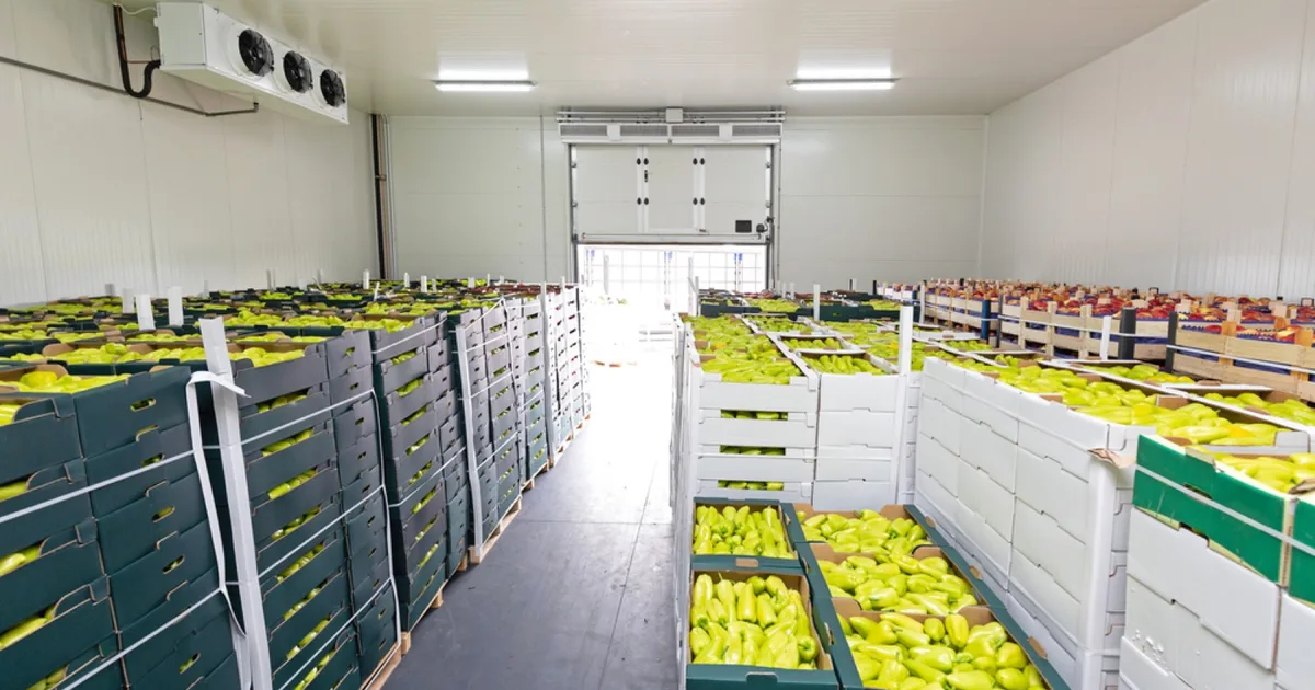 Cold storage warehouse with crates of fresh produce.