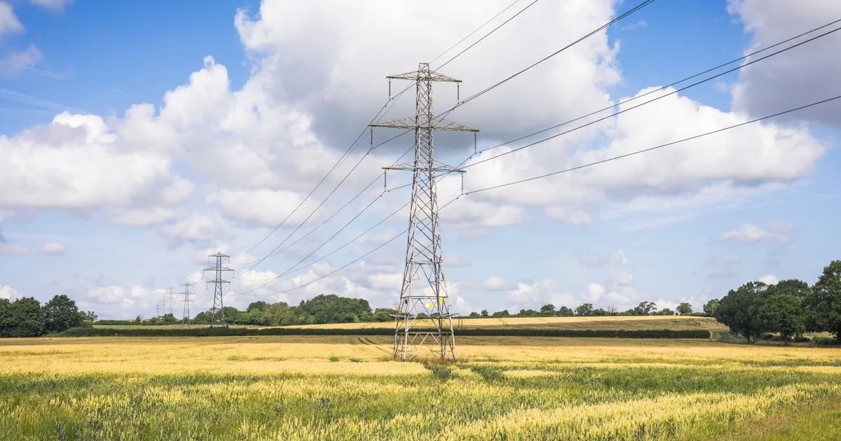 Electricity pylon standing in a golden wheat field under a bright summer blue sky.
